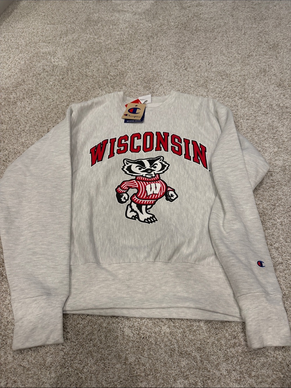 NWT Champion Gray Wisconsin Bucky Badger Pullover Sweatshirt. Size M. Unisex